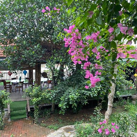 Trang An Bai Dinh Linh Homestay Νιν Μπιν Εξωτερικό φωτογραφία