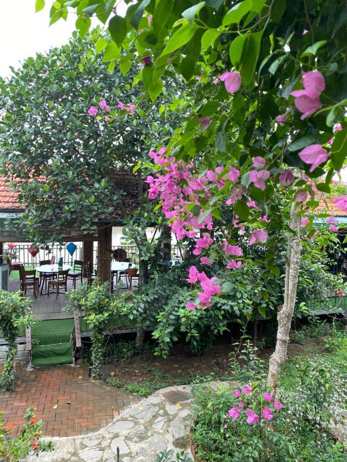 Trang An Bai Dinh Linh Homestay Νιν Μπιν Εξωτερικό φωτογραφία